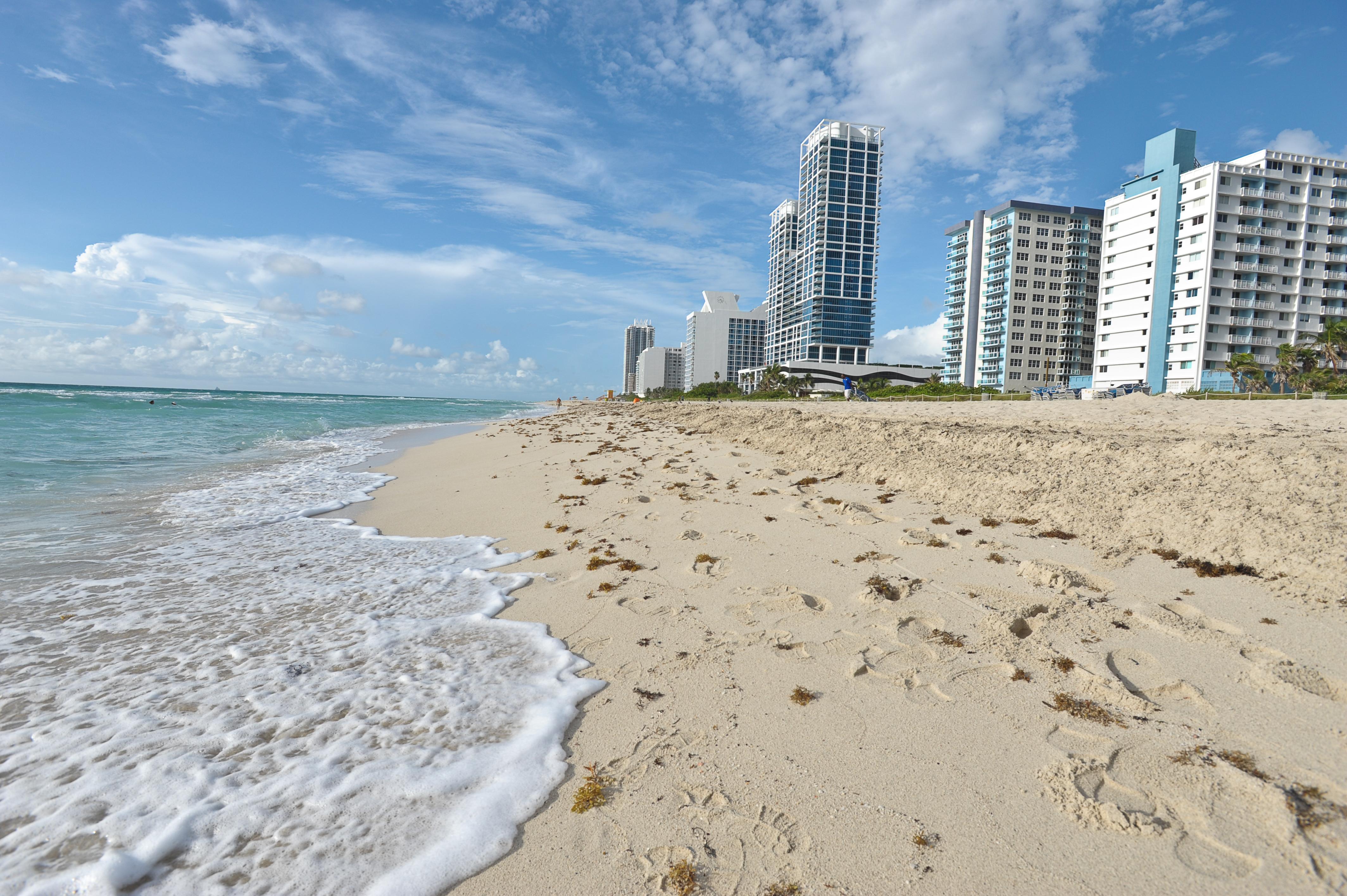 Crystal Beach Suites Miami Oceanfront Hotel Miami Beach Naturaleza foto